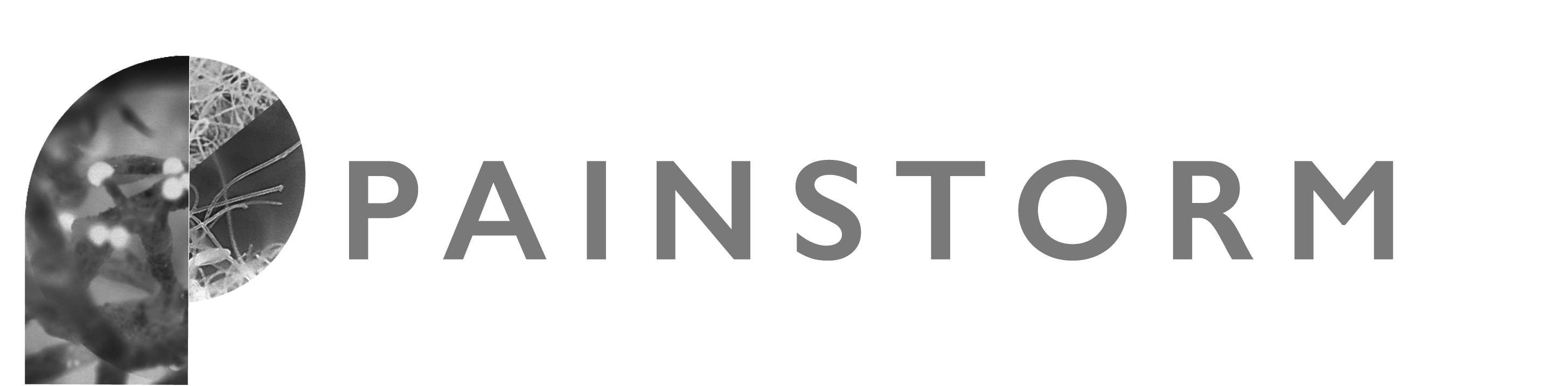 PAINSTORM logo, which is a grey-scale logo made up of a large rounded P shape filled with images of neurons, followed by the word PAINSTORM in all caps