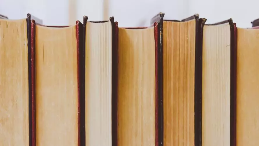 Books lined up, photographed from the back