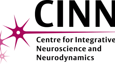 Logo of the Centre for Integrative Neuroscience and Neurodynamics, with the initials CINN written in capital black letters above a schematic representation of three connected neurons in shades of purple
