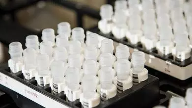 White plastic vials containing DNA samples